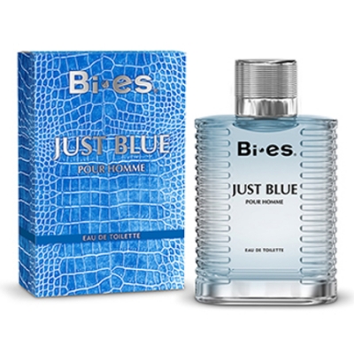 Bi-Es Just Blue Homme - Eau de Toilette para hombre 100 ml